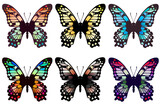 6羽のカラフルな蝶