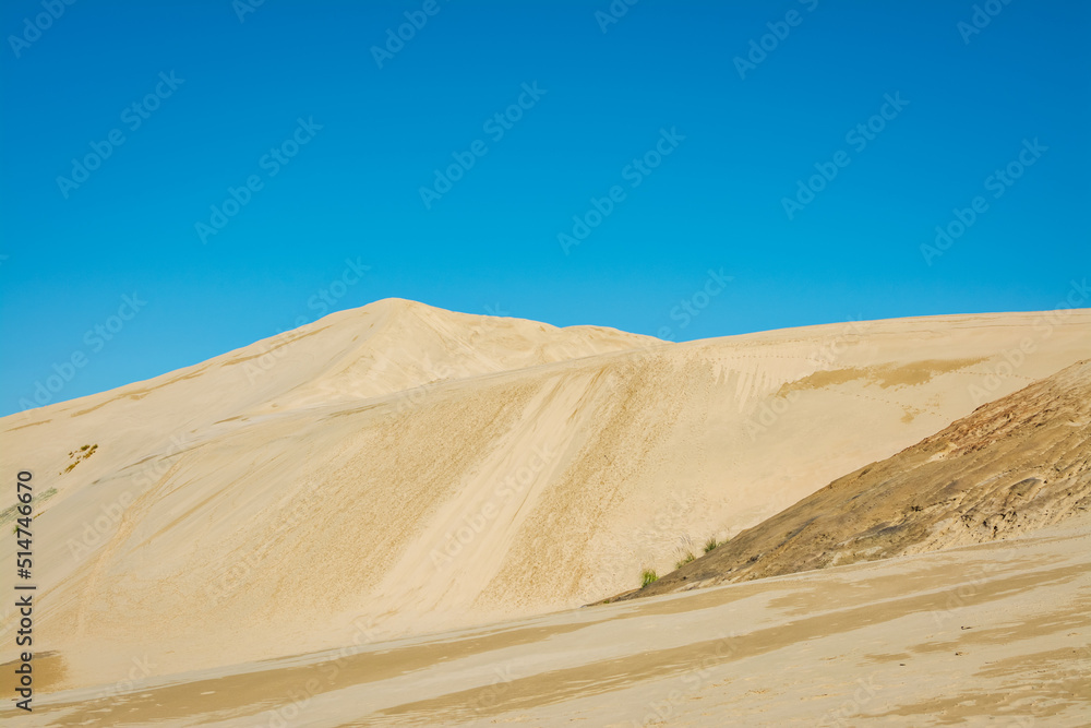 Diagonal lines and clear colours make a desert-like landscape out of the Giant sand dunes, Te Paki in Northland, New Zealand