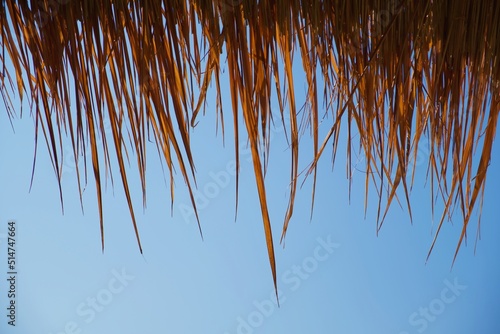 Dry grass and sky in the background. In Asia, grass is often used for roofing.