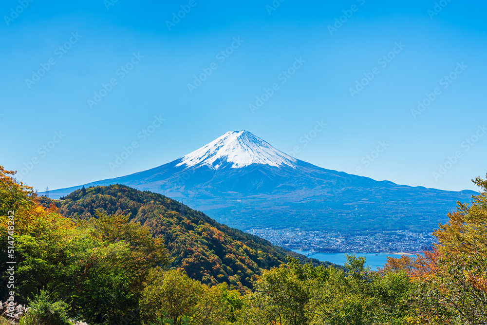 御坂峠より富士山を望む