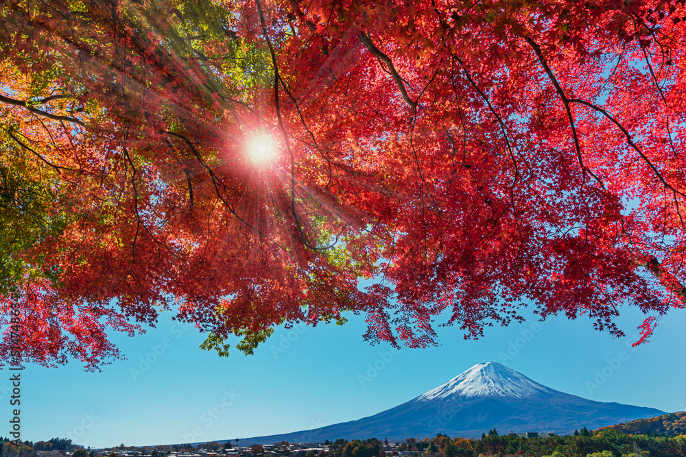 河口湖畔より紅葉越しに富士山を望む
