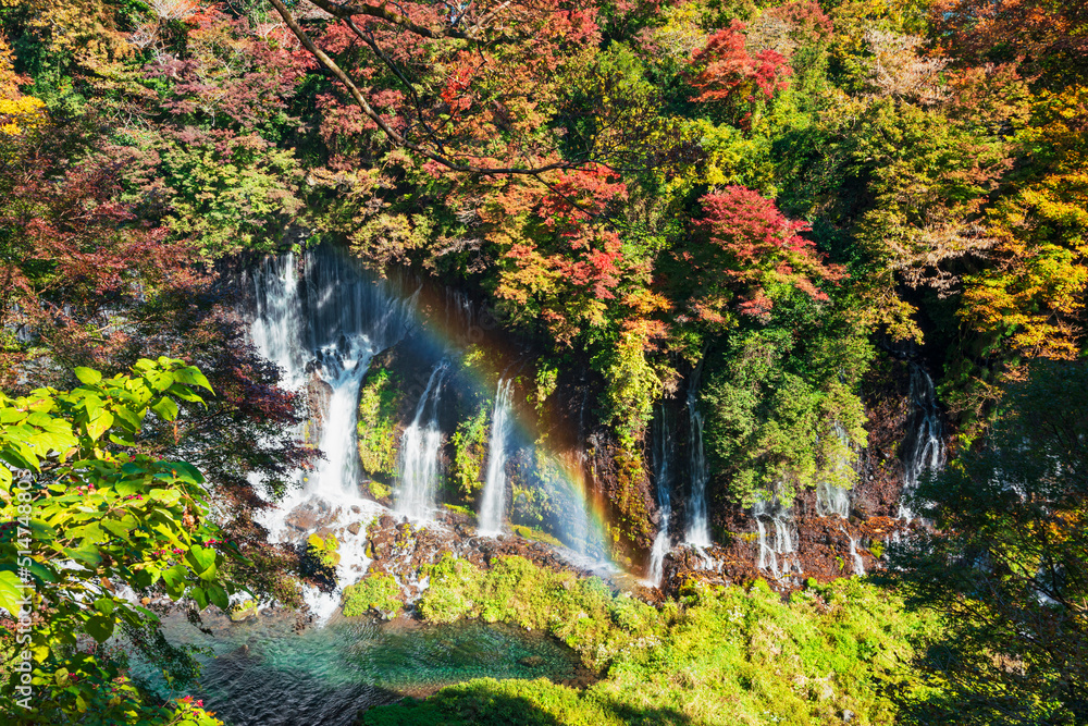 Fototapeta premium 紅葉の白糸ノ滝に掛かる虹