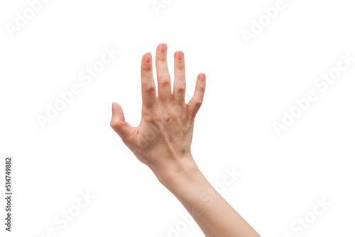 Woman hand isolated on a white background. © Nikolay