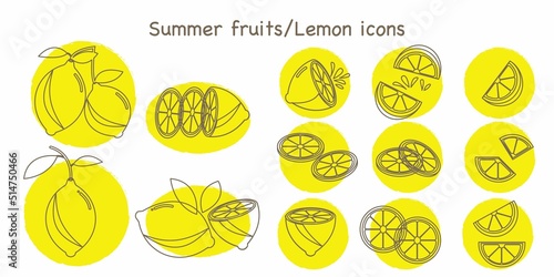 Set of Lemon fruits line icons. simple fruits icon collection for design. Vector illustration.