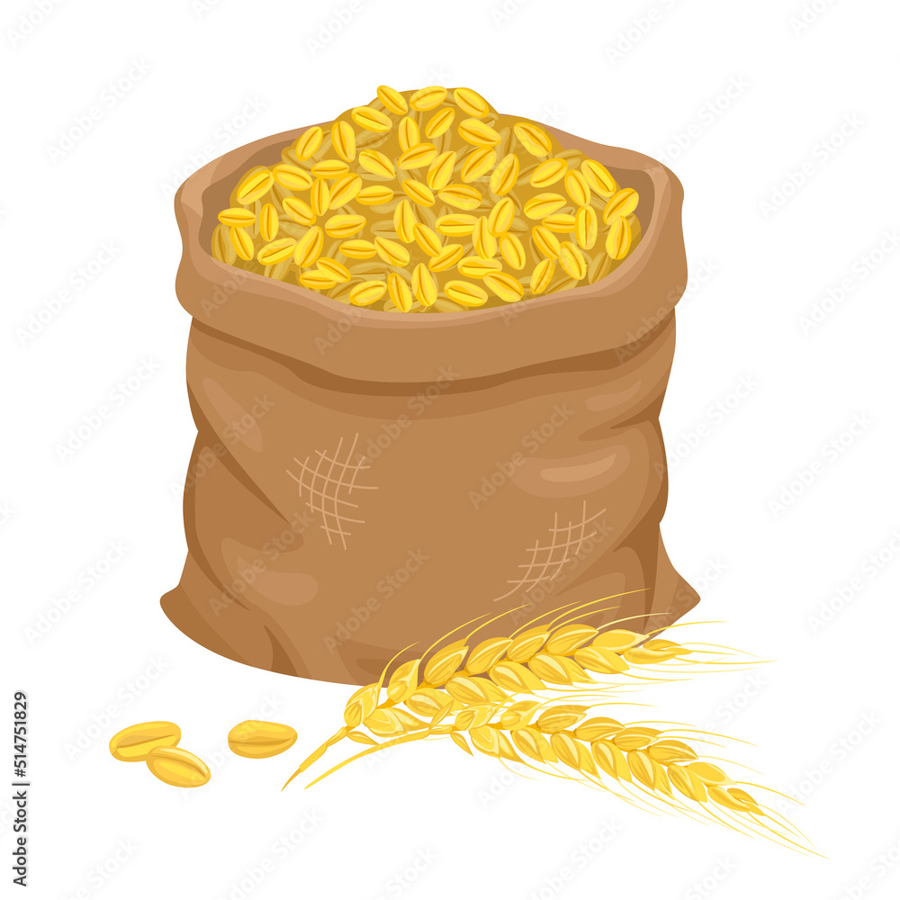 Bag With Wheat Grain And Spikelet Isolated On White Background Vector 