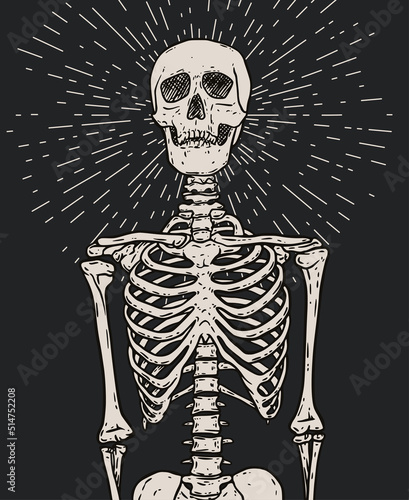 Human skeleton standing with rays of light