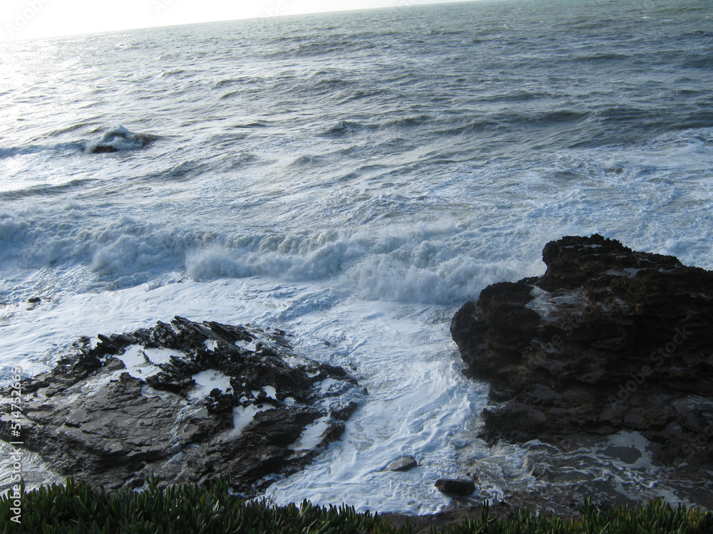 Fototapeta premium Pistis