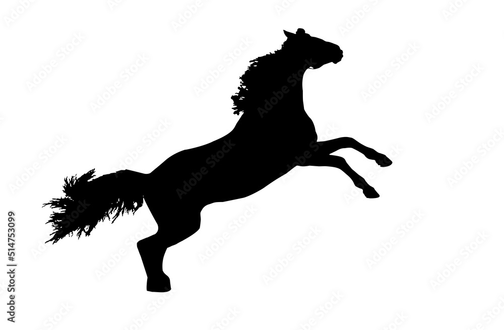 silhouette of a beautiful horse in a jump, on a white background