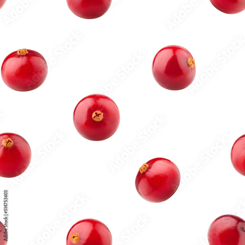 Cranberry isolated on white background, SEAMLESS, PATTERN