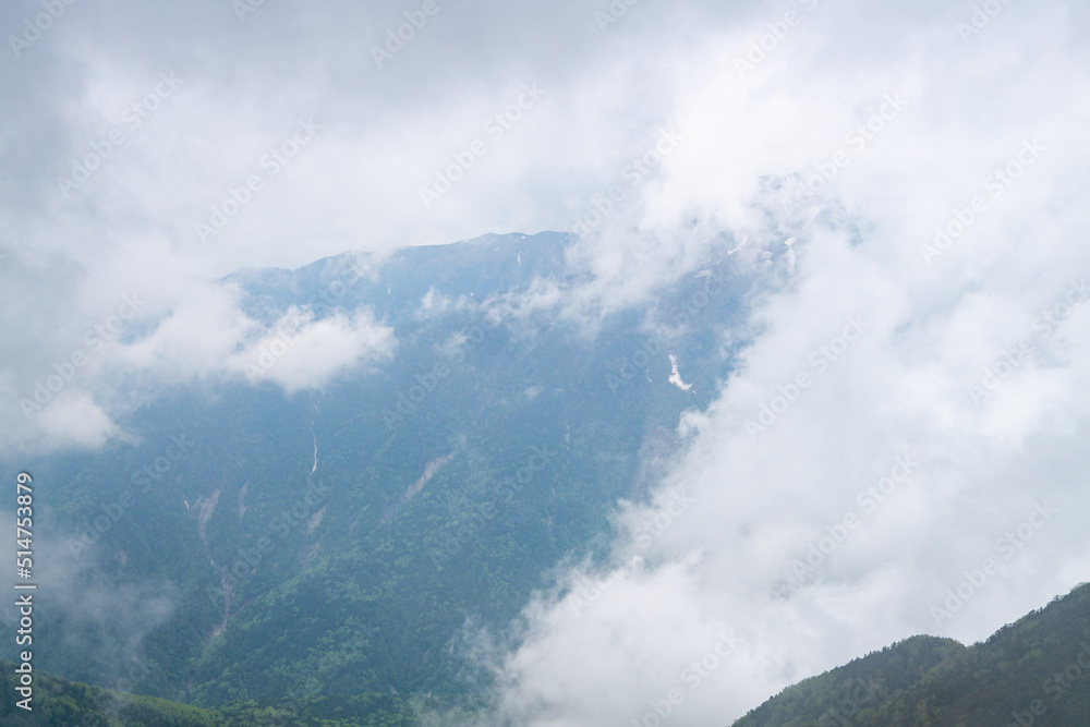 雲に包まれたハイマツ帯　甲斐駒ヶ岳の風景
