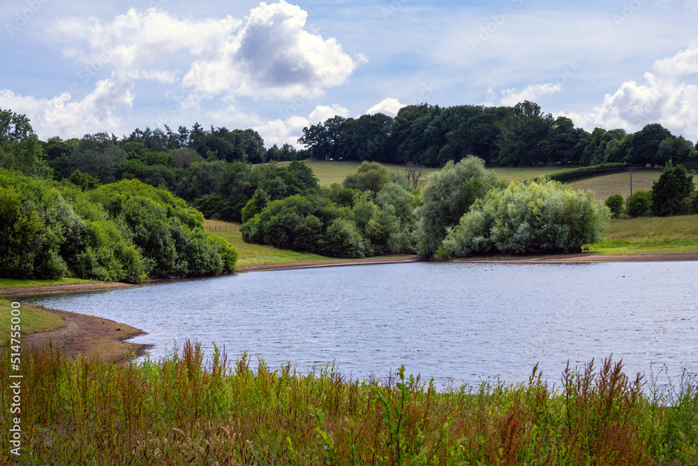 View of Bewl Water reservoir on a summer afternoon, Kent, South of England View of Bewl Water reservoir on a summer afternoon, Kent, South of England