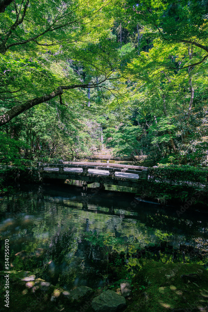 法然院の庭園