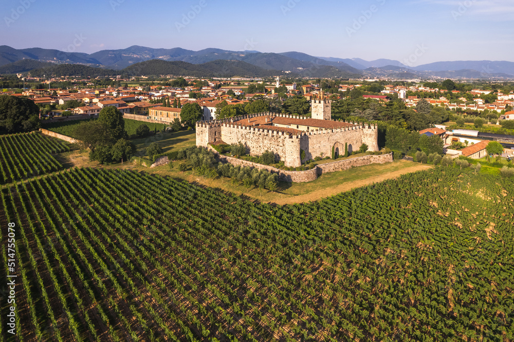 Aerial view of the medieval castle among the vineyards, Passirano, Franciacorta, Italy, 