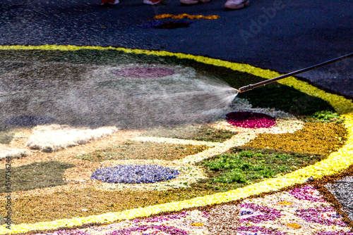 Infiorata Assisi Corpus Domini 19/06/2022 photo