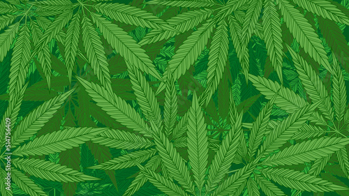 Green cannabis leaves pattern background