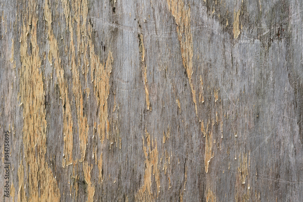 Cracked or weathered natural wooden panel surface. Background and textured.