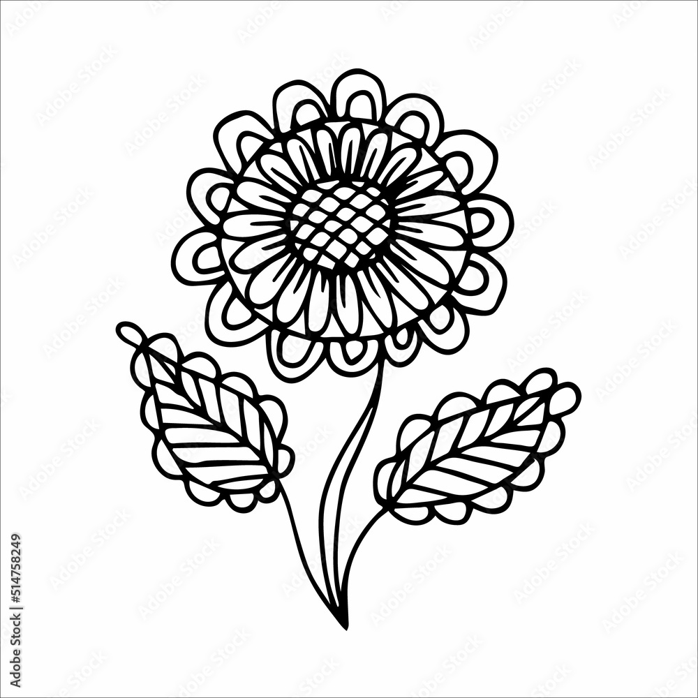 Obraz premium Hand drawn flower single doodle element