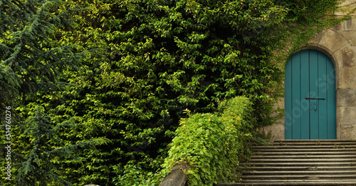 Porta de madeira verde antiga numa parede em pedra no topo de uma escadaria com plantas trepadeiras do lado esquerdo photo