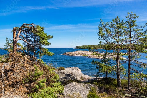 Ostseeküste mit Felsen und Bäumen auf der Insel Hasselö in Schweden photo