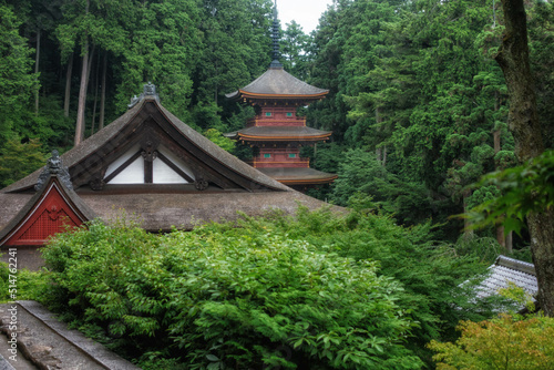 滋賀県近江八幡市「姨綺耶山 長命寺」三重塔と伽藍が見える初夏の風景