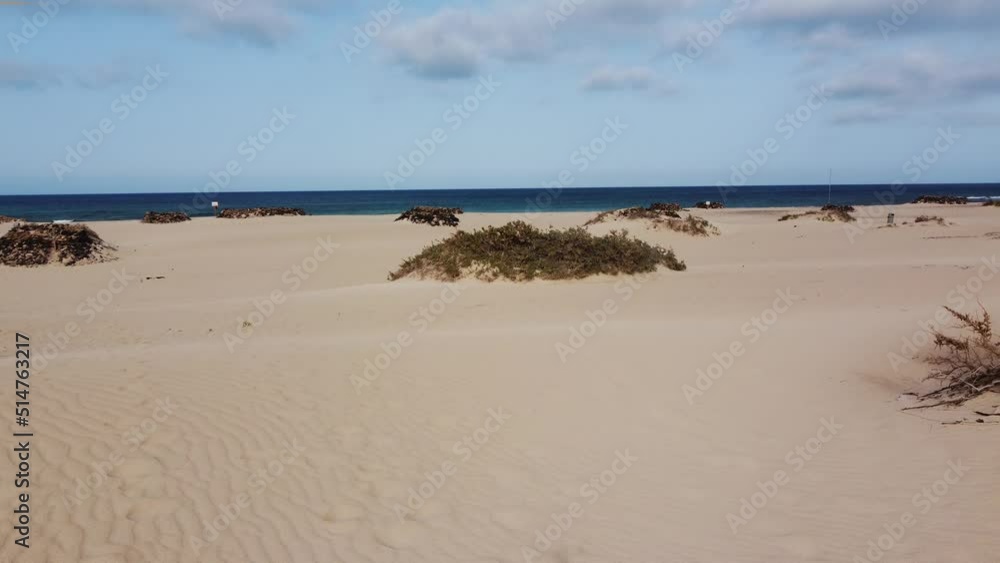 The dunes of Fuerteventura - Canary Islands - aerial view professional drone The dunes of Fuerteventura - Canary Islands - aerial view professional drone