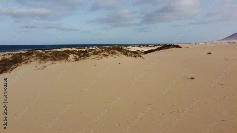 Sandy Shores from Above: Corralejo Dunes and Mountains Sandy Shores from Above: Corralejo Dunes and Mountains