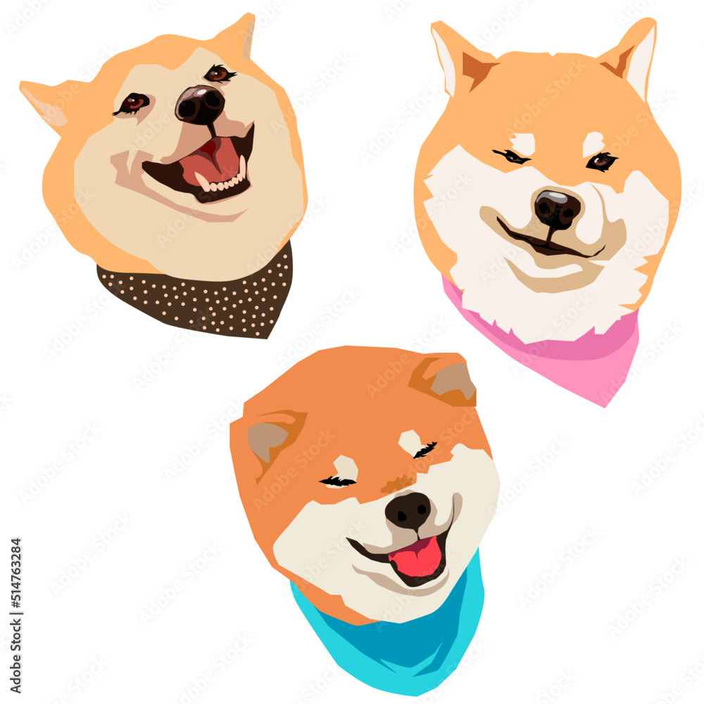 Obraz premium puppy funny dogs Shiba inu