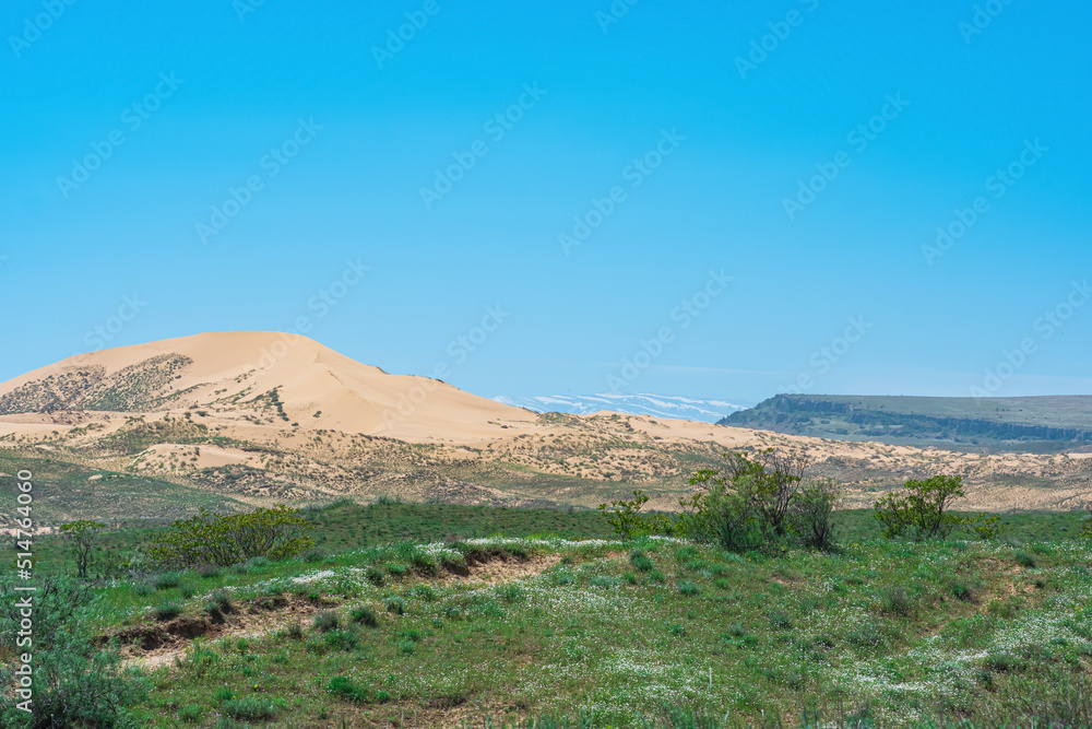 semi-arid landscape in the vicinity of the Sarykum sand dune
