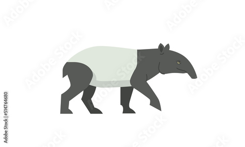 Malayan Tapir  Tapirus indicus   asian tapir  Acrocodia indica in side angle view  asian native wild animal isolated flat vector illustration