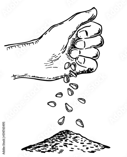 Hand sowing seeds. Vector sketch illustration with hand putting seed to ground. Process of seeding in sketch style. Sowing seeds and agriculture. Isolated on white background
