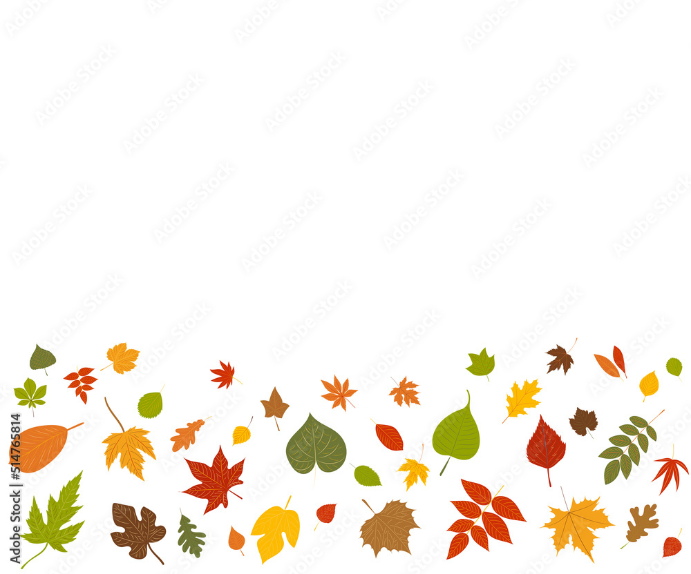 falling autumn leaves on white background