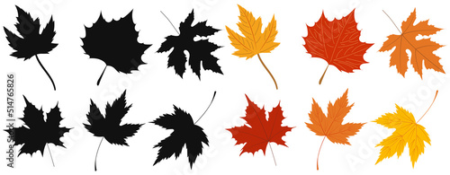 maple leaves set  collection in flat design set isolated  vector