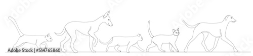 walking cat and dog drawing in one continuous line, isolated, vector © zolotons