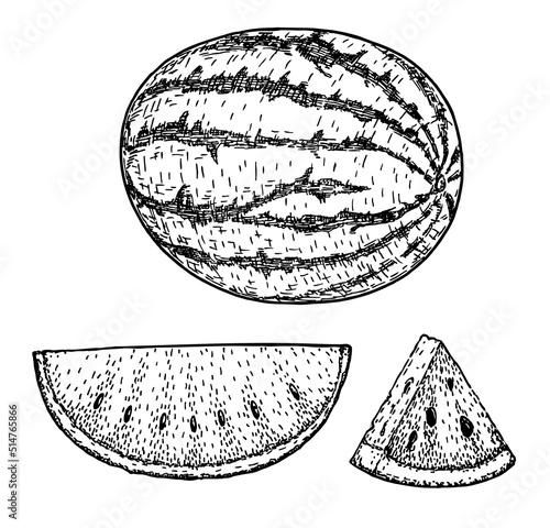 Hand drawn sketch style watermelon half and triangle cut out composition. Fresh watermelon with two types of slices. Farm fresh fruits isolated on white background. Eco organic food poster. Vector