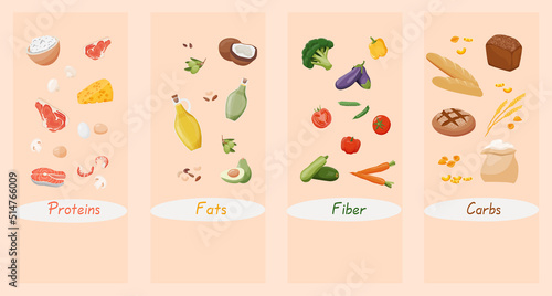 Table of macronutrients. Fiber, proteins, fats and carbs presented by food products. Vector illustration of nutrition categories. Balanced nutrition. Healthy food