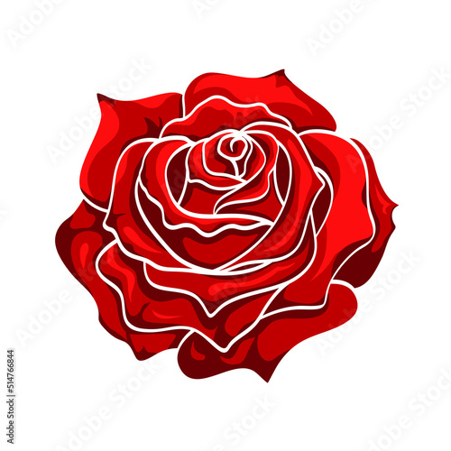 Fototapeta Naklejka Na Ścianę i Meble -  Red blossoming rose bud isolated on white. Flower of bright colors, hand drawn sketch. Vector decorative element for floral design, wedding or greeting card, romantic illustration, screen printing.