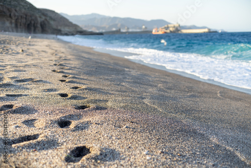 Wallpaper Mural Footprints in the sand of a beach by the Meditteranean sea Torontodigital.ca