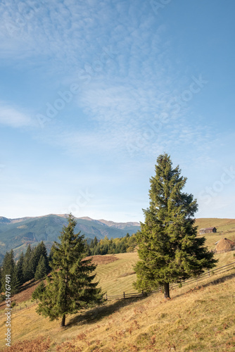 Carpathian mountains in autumn on a beautiful sunny day