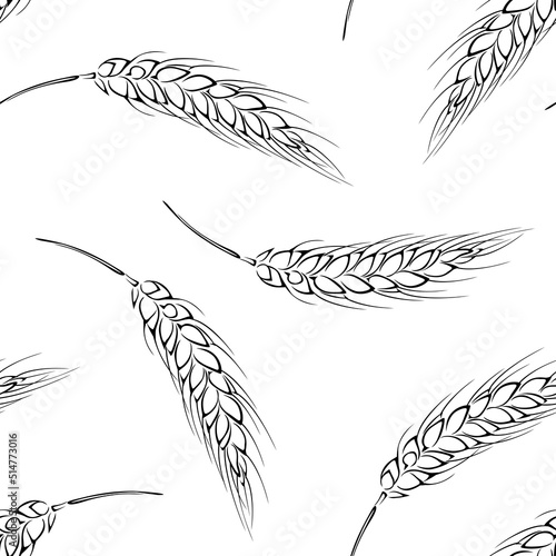 Wheat spikelet outline seamless pattern. Botanical background with cereal ears. Vector black and white illustration.