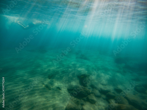 fish swimming in clear blue water underwater photo