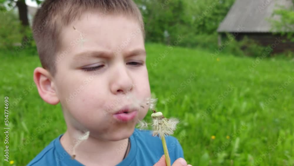 In the summer, a boy blows on a dandelion In the summer, a boy blows on a dandelion