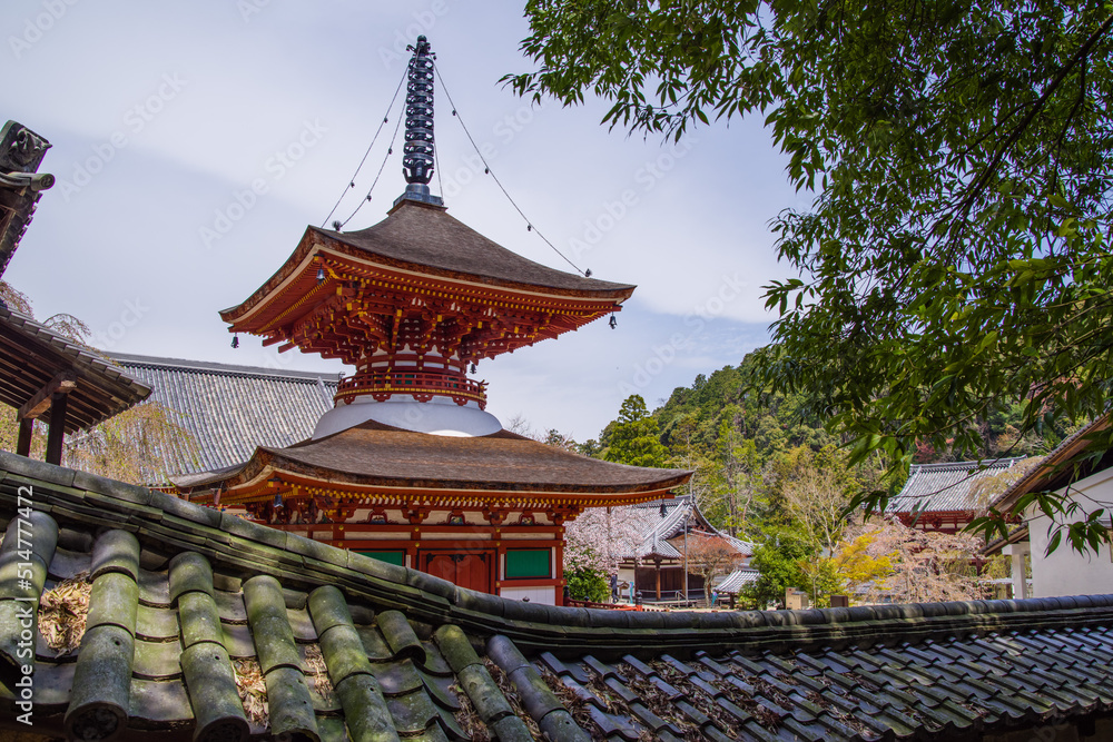 Naklejka premium 早春の天野山金剛寺(大阪府河内長野市)