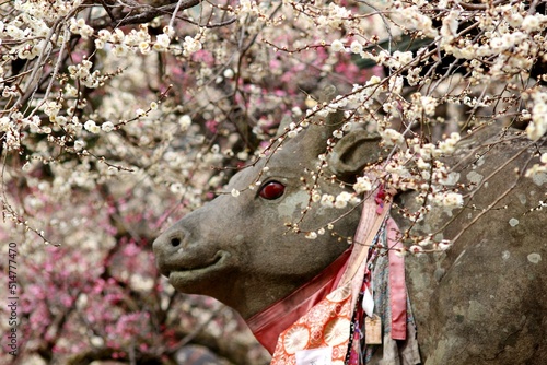 北野天満宮 photo