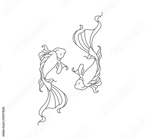 Vector isolated beautiful two carp fish koi top view colorless black and white contour line drawing 