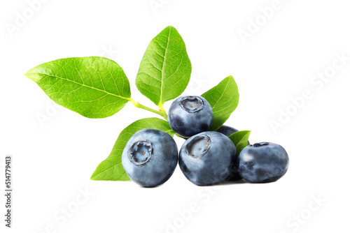 Canvas Print A blueberry branch isolated on a white background