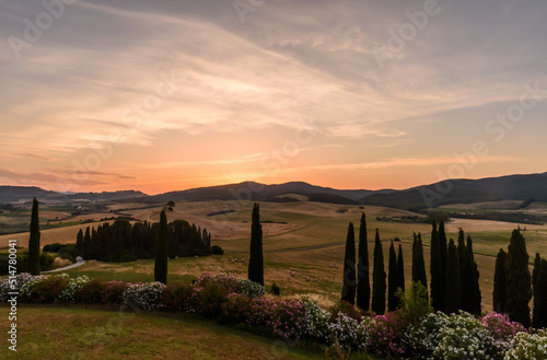 Sonnenaufgang im Sommer in der Toskana mit Feldern, Hügeln, Zypressen und Oleander
