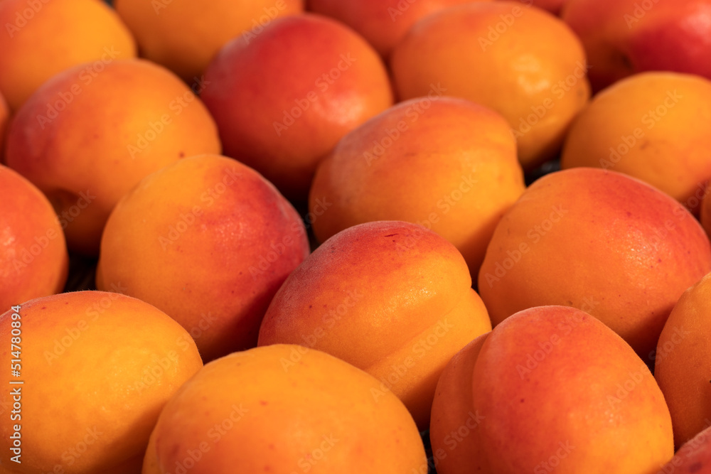 Ripe orange apricots. Close-up.