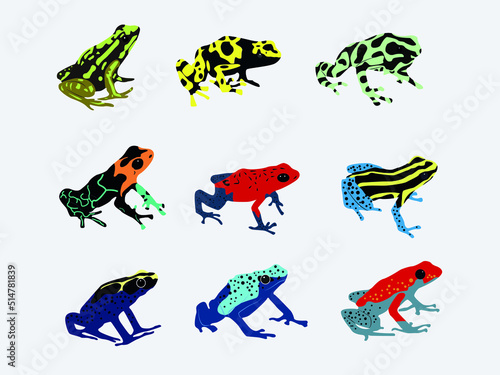 tropical amazon poison frog clipart illustration vector collection