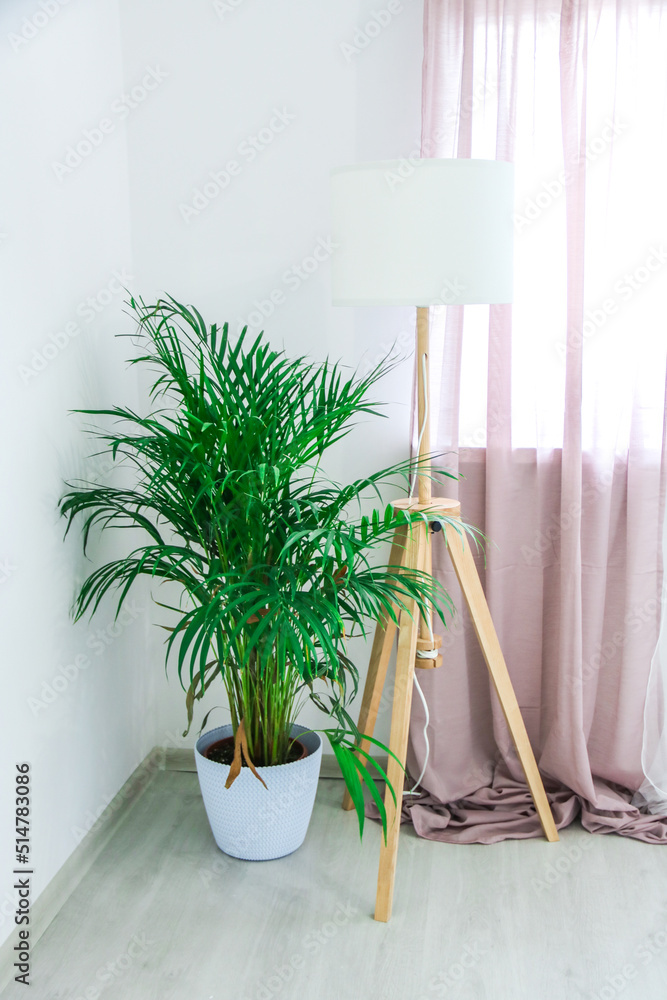 dekoracje, mieszkanie, zasłony, stolik kawowy, wzór, roślina, doniczka, koc, ręcznik, ozdoba, lampa, kwiaty, zegar, słoik, piwonia, sztuczny kwiat, home staging, sofa, kanapa, salon, kubek, zielony, r