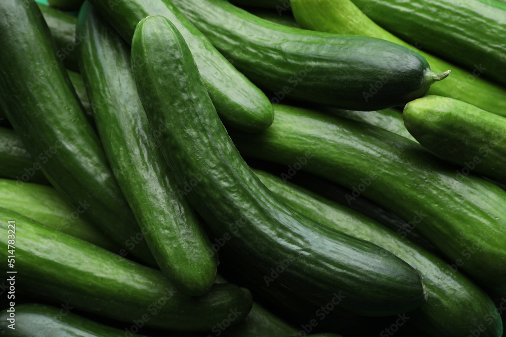 Many fresh green cucumbers as background, closeup view Many fresh green cucumbers as background, closeup view